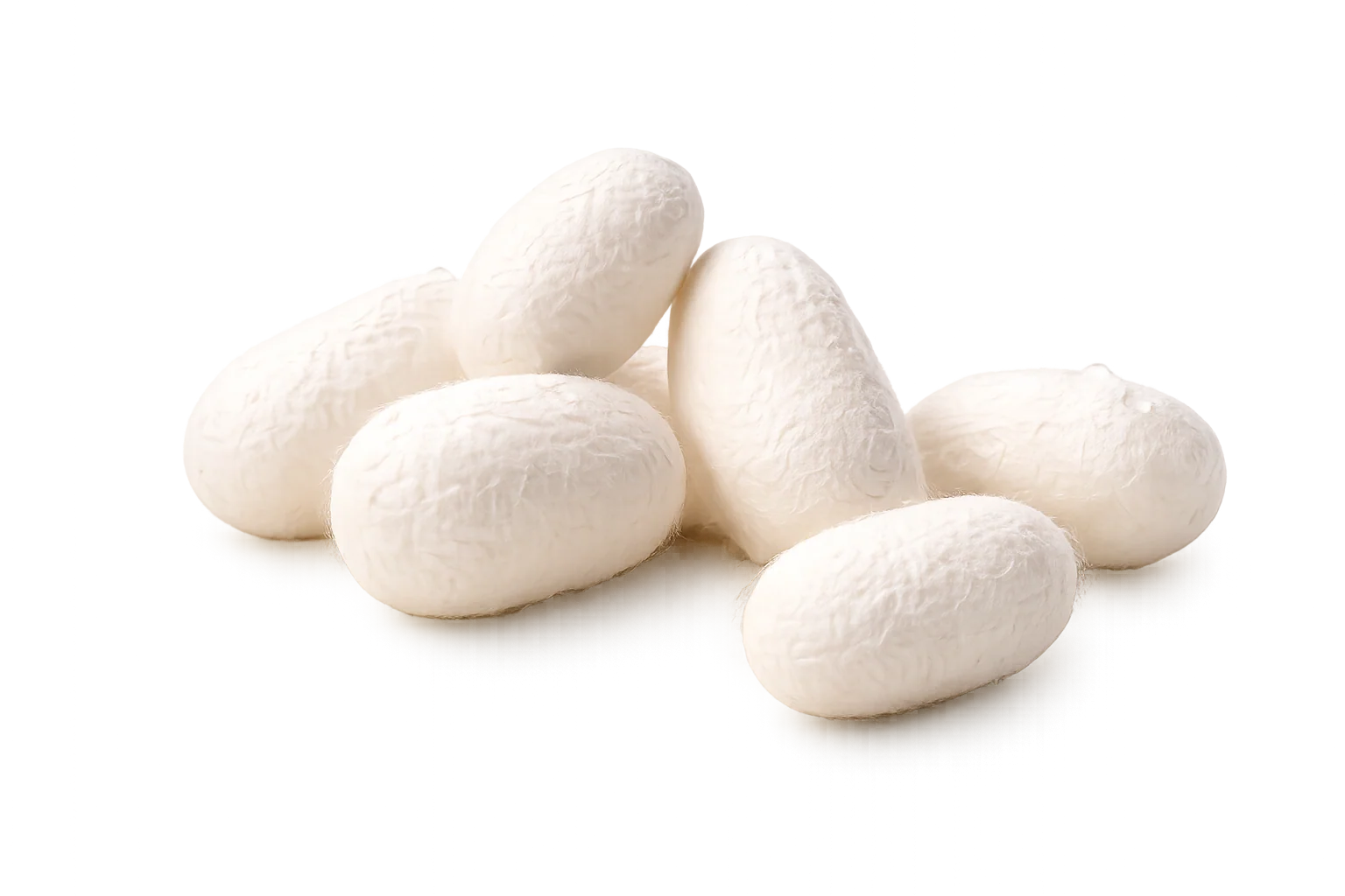 Silk Protein