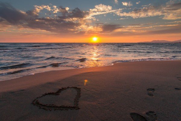 Exploring the Love Hormone: Understanding Oxytocin