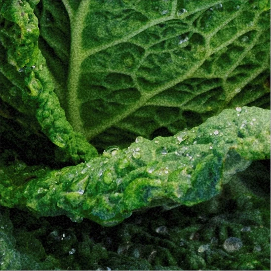 From Soil to Self