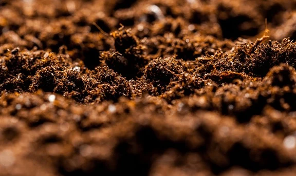 Clean nutrition starts at the source