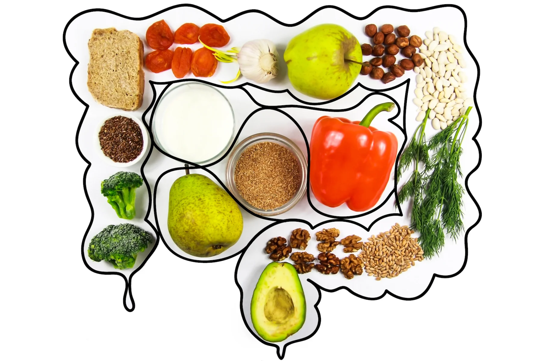 Probiotics vs. Prebiotics